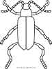 bug coloring sheet