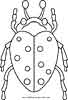 Spotted bug coloring sheet