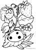 Ladybug with strawberries printable coloring picture