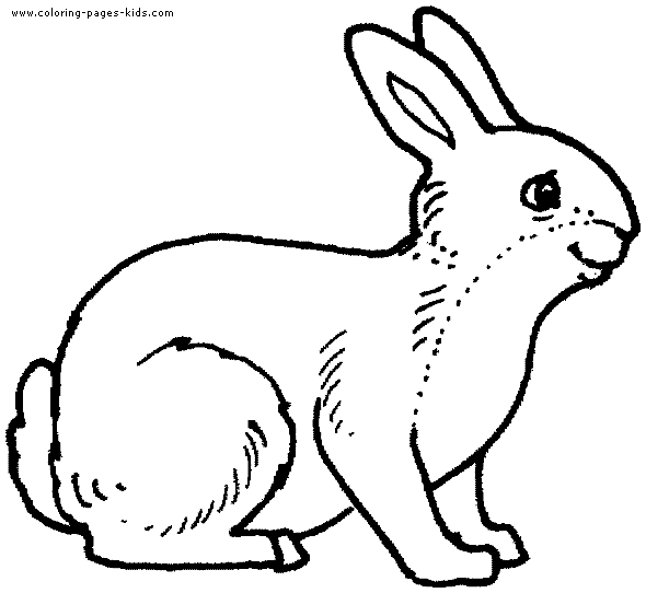 Bunny coloring page for kids