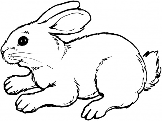 bunnies coloring pages, bunny coloring, color plate, coloring sheet, printable  picture