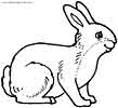 bunny coloring page