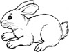 bunny coloring page