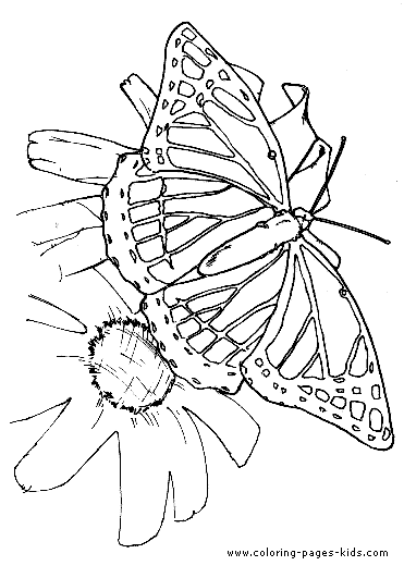 Butterfly flowers coloring page