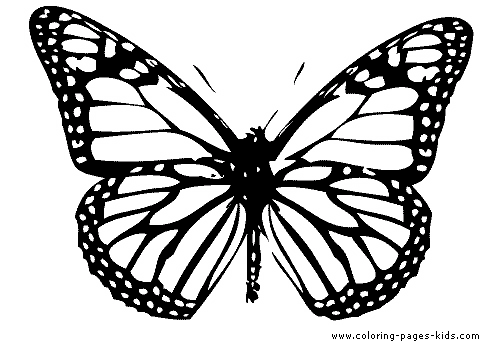 Single Butterfly coloring page for kids