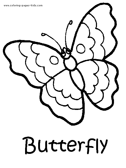 Butterfly with text color page