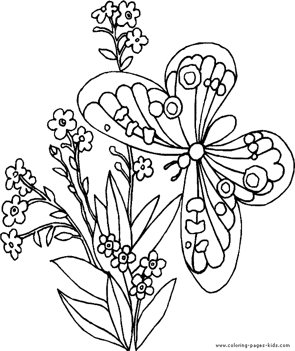 Butterfly with flowers. Free printable coloring sheets for 