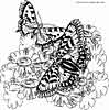 butterfly coloring page