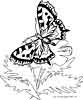 butterfly coloring page