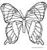 butterfly coloring page