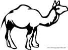 Camel coloring page