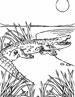 Crocodile coloring page