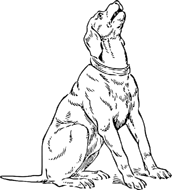 dog, dogs, puppy animal coloring pages, color plate, coloring sheet,printable coloring picture