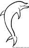 dolphin coloring pages