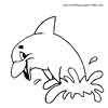 Dolphin splash coloring page