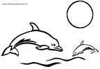 Dolphins coloring picture
