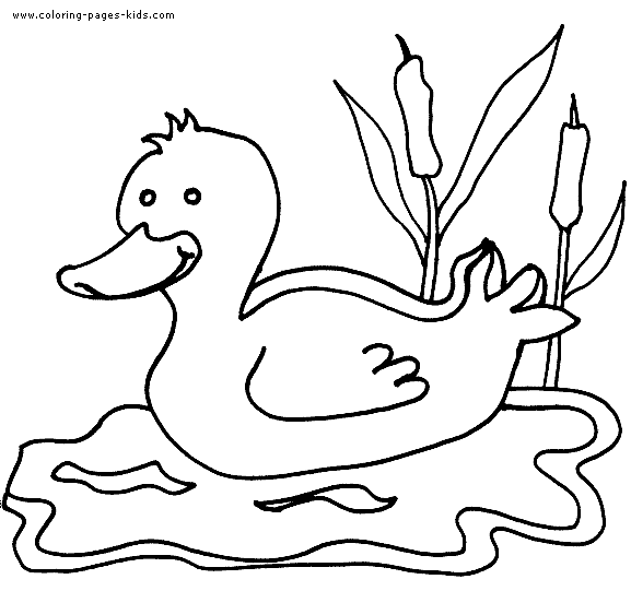 Duck color page, animal coloring pages, color plate, coloring sheet,printable coloring picture