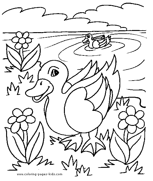 Duck color page, animal coloring pages, color plate, coloring sheet,printable coloring picture