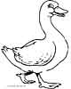 duck coloring page