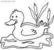 duck coloring page