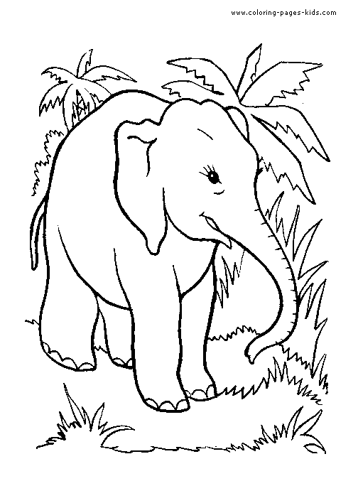 Elephant color page, animal coloring pages, color plate, coloring sheet,printable coloring picture