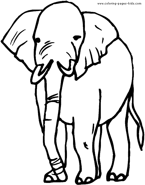 Elephant color page, animal coloring pages, color plate, coloring sheet,printable coloring picture