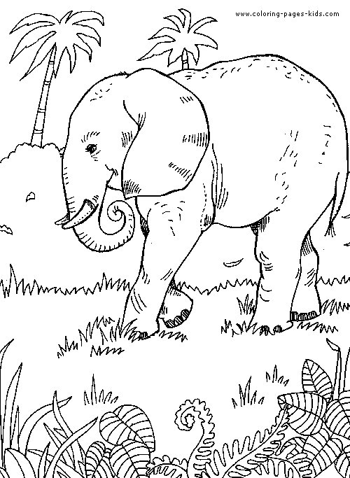 Elephant color page, animal coloring pages, color plate, coloring sheet,printable coloring picture