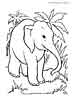 elephant coloring page