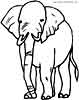 elephant coloring page