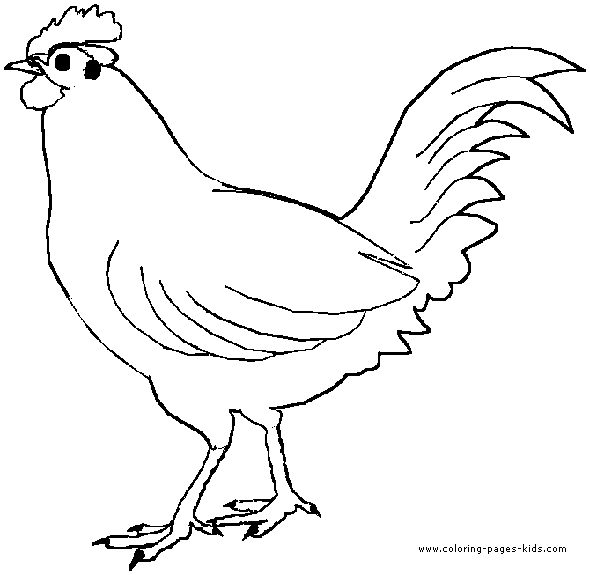 chicken color page, animal coloring pages, color plate, coloring sheet,printable coloring picture