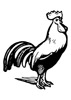 chicken coloring page