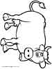 cows coloring page sheet picture