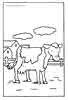 cows coloring page sheet picture