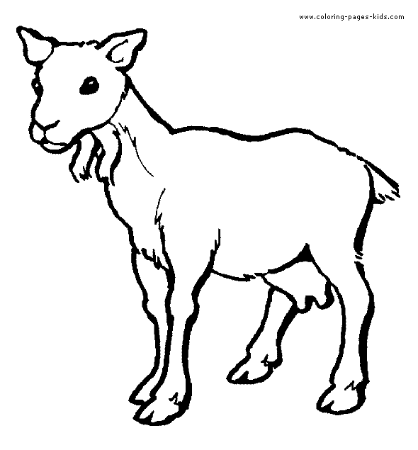 Goat color page, animal coloring pages, color plate, coloring sheet,printable coloring picture