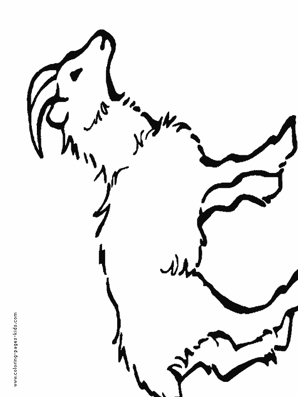 Goat color page, animal coloring pages, color plate, coloring sheet,printable coloring picture