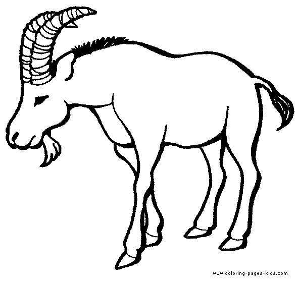 Goat color page