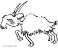 Goat coloring page