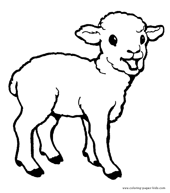 Little Lamb color page