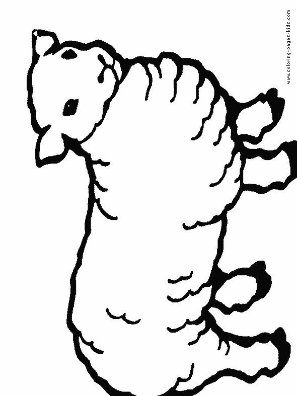 Sheep color page, animal coloring pages, color plate, coloring sheet,printable coloring picture