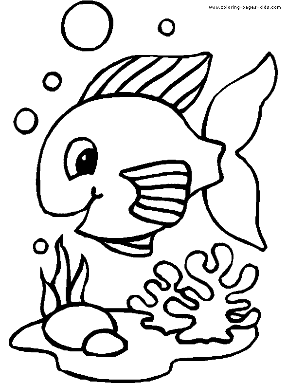 fish picture