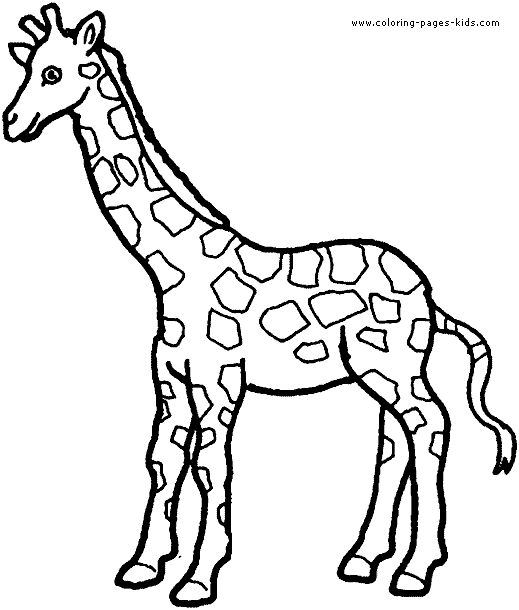 Giraffe coloring picture