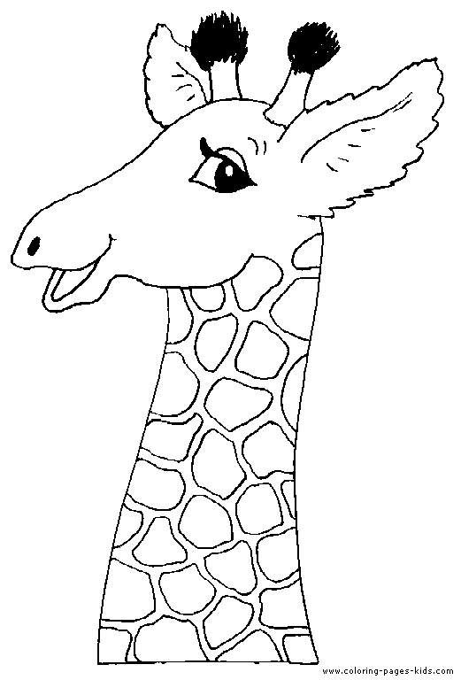 Head of a Giraffe color page