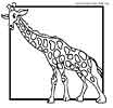 giraffes coloring page