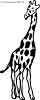 giraffes coloring page