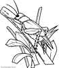 Grasshopper coloring sheet