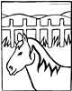 horse coloring page