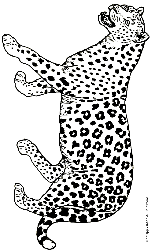 coloring pages jaguar