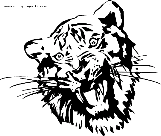 Tiger coloring page