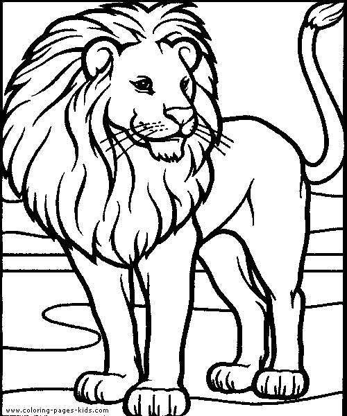 lion color page, tiger color page, plate, coloring sheet,printable coloring picture