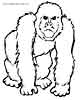 monkey coloring page